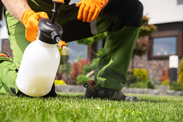 Reliable Colonial Pine Hills, SD Pest Control Solutions