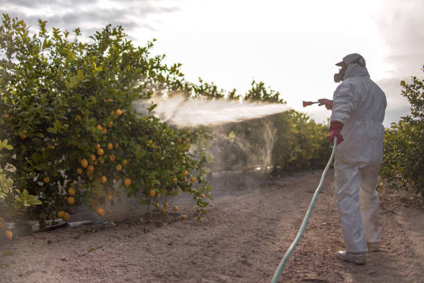 Pest Control Cost in Colonial Pine Hills, SD