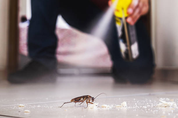 Best Emergency Pest Control  in Colonial Pine Hills, SD