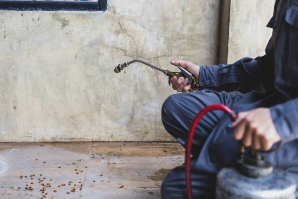 Best Exterminator Services  in Colonial Pine Hills, SD
